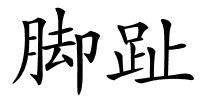 脚趾的解释