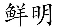 鲜明的解释