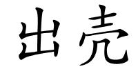 出壳的解释