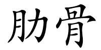肋骨的解释