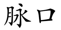 脉口的解释