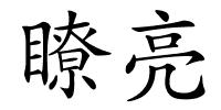 瞭亮的解释