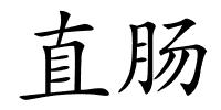 直肠的解释