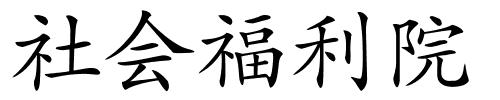 社会福利院的解释