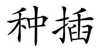 种插的解释