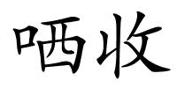 哂收的解释