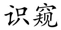 识窥的解释