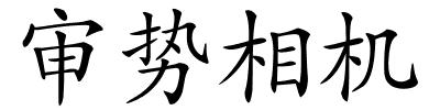 审势相机的解释