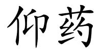 仰药的解释