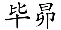 毕昴的解释