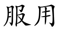 服用的解释