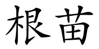 根苗的解释
