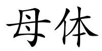 母体的解释