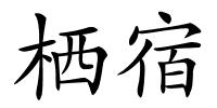 栖宿的解释
