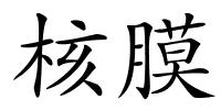 核膜的解释