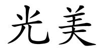 光美的解释
