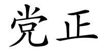 党正的解释