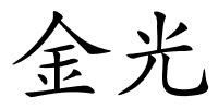 金光的解释