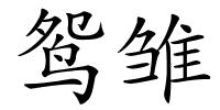 鸳雏的解释