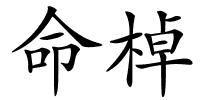 命棹的解释