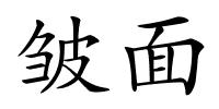 皱面的解释