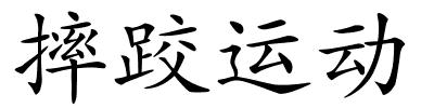 摔跤运动的解释
