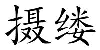 摄缕的解释