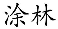涂林的解释