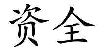 资全的解释