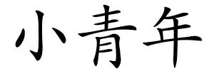 小青年的解释
