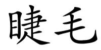 睫毛的解释