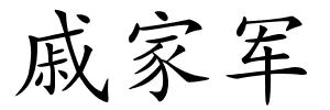 戚家军的解释