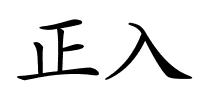 正入的解释