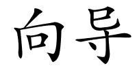 向导的解释