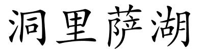 洞里萨湖的解释