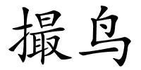 撮鸟的解释
