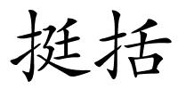 挺括的解释