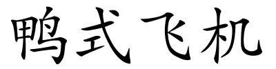 鸭式飞机的解释