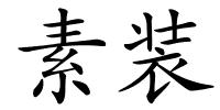 素装的解释