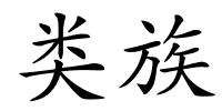 类族的解释