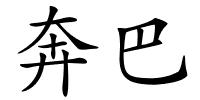奔巴的解释