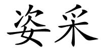 姿采的解释