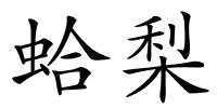 蛤梨的解释