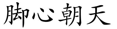 脚心朝天的解释