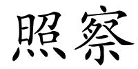 照察的解释