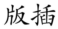 版插的解释