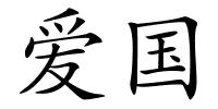 爱国的解释