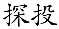 探投的解释