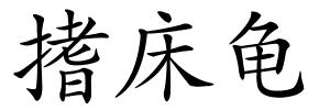 搘床龟的解释
