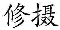 修摄的解释